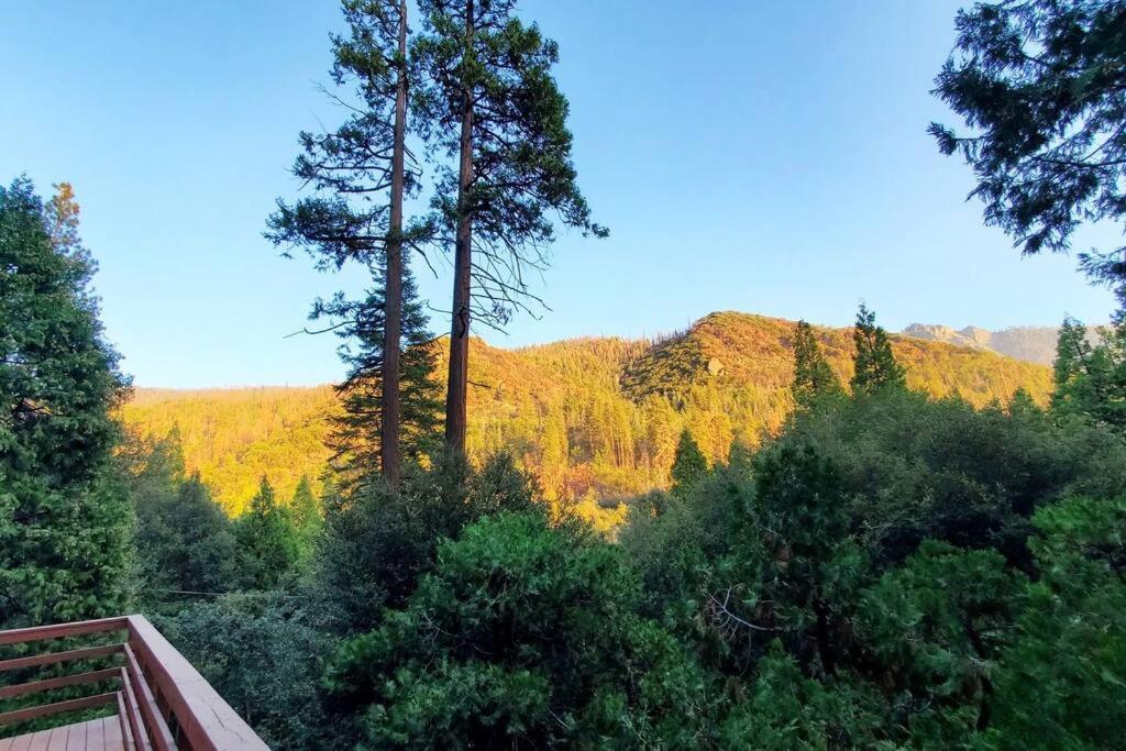 Redwood Retreat, Mountains, Adventure And Nature Ponderosa Bagian luar foto