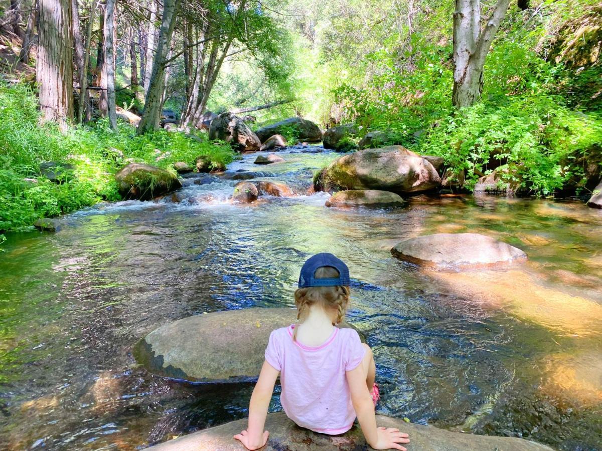 Redwood Retreat, Mountains, Adventure And Nature Ponderosa Bagian luar foto