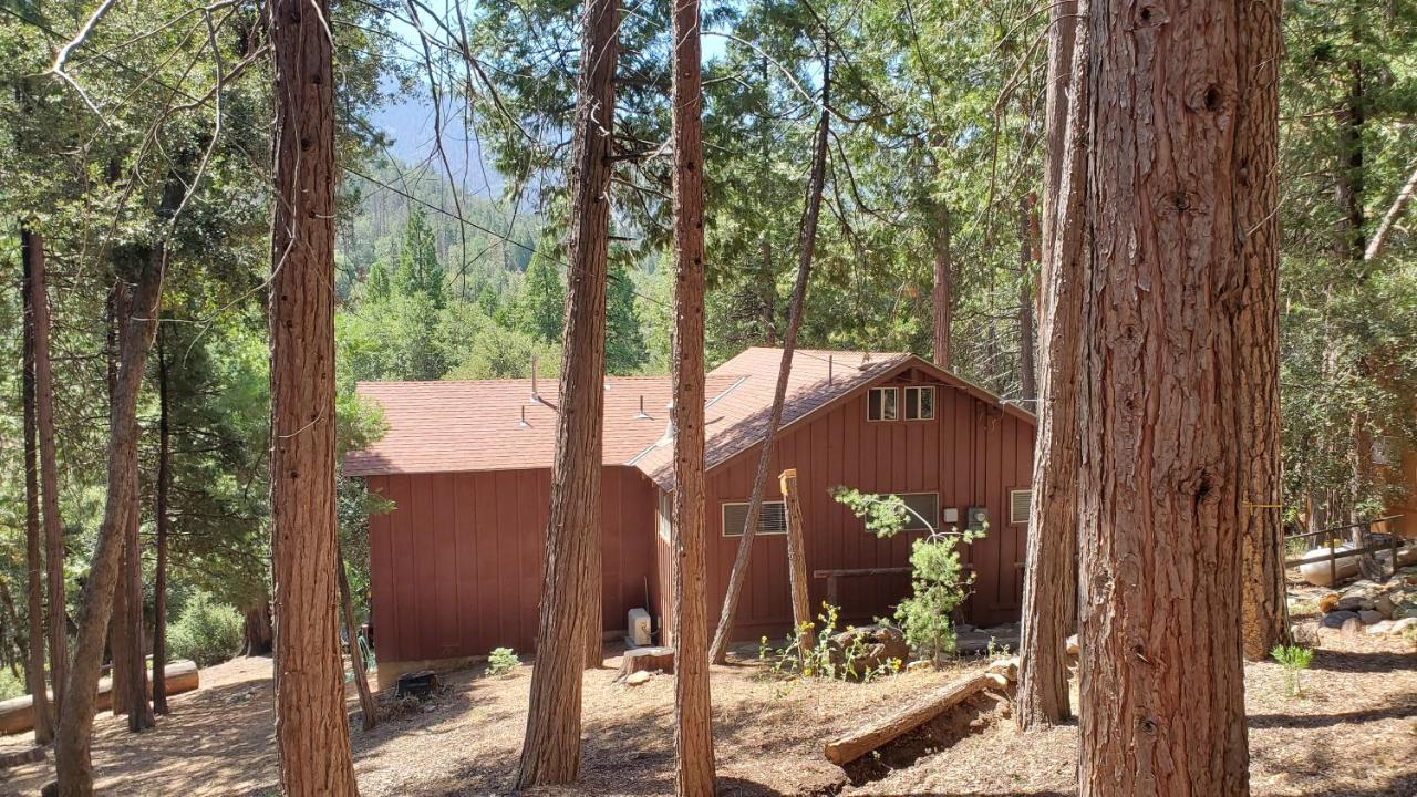 Redwood Retreat, Mountains, Adventure And Nature Ponderosa Bagian luar foto
