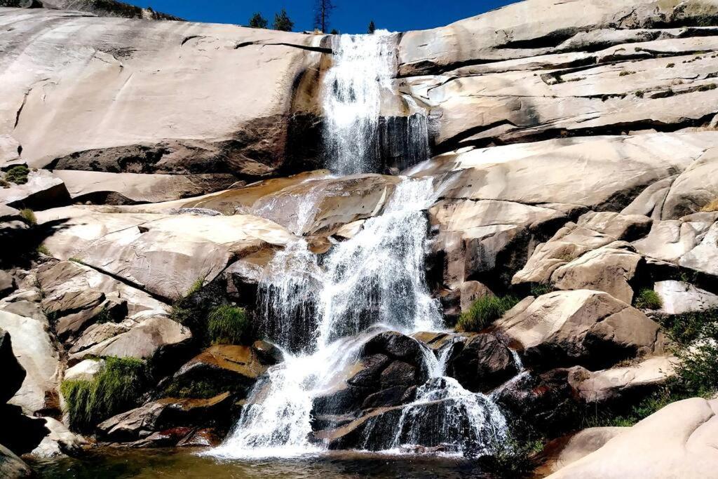 Redwood Retreat, Mountains, Adventure And Nature Ponderosa Bagian luar foto
