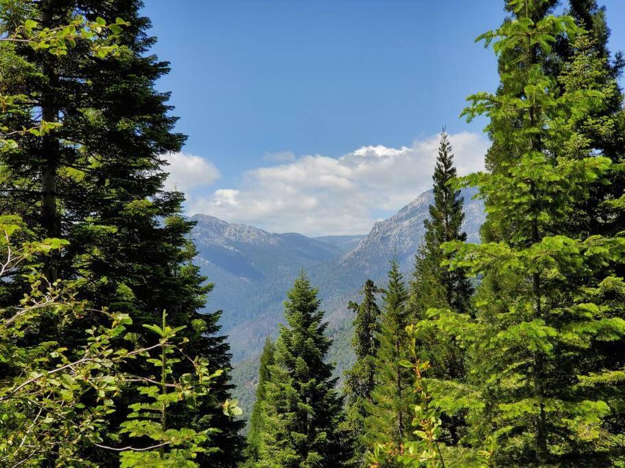 Redwood Retreat, Mountains, Adventure And Nature Ponderosa Bagian luar foto