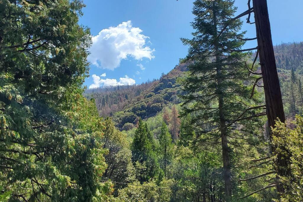 Redwood Retreat, Mountains, Adventure And Nature Ponderosa Bagian luar foto