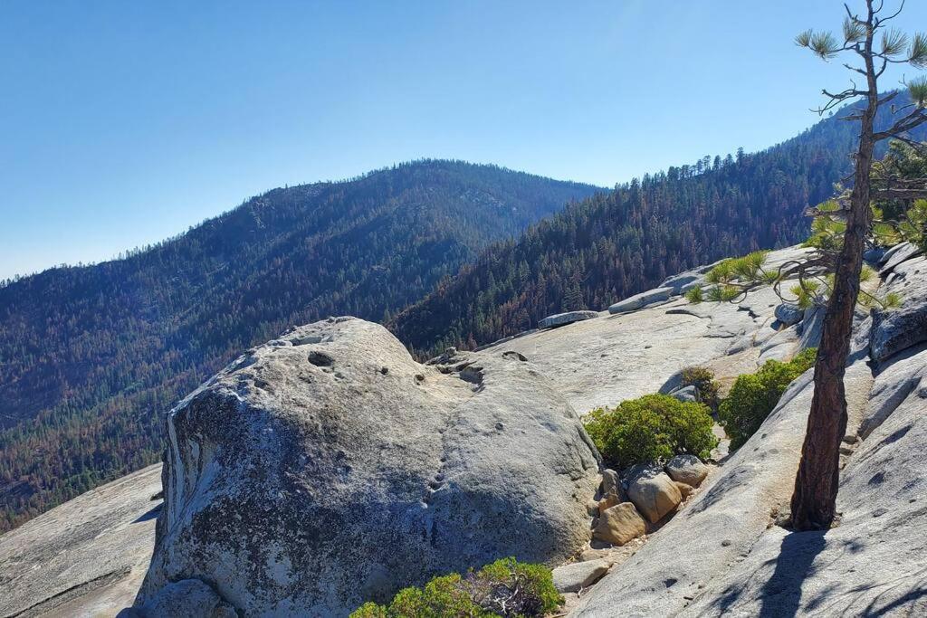 Redwood Retreat, Mountains, Adventure And Nature Ponderosa Bagian luar foto