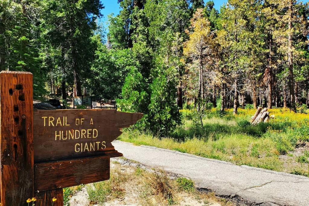 Redwood Retreat, Mountains, Adventure And Nature Ponderosa Bagian luar foto