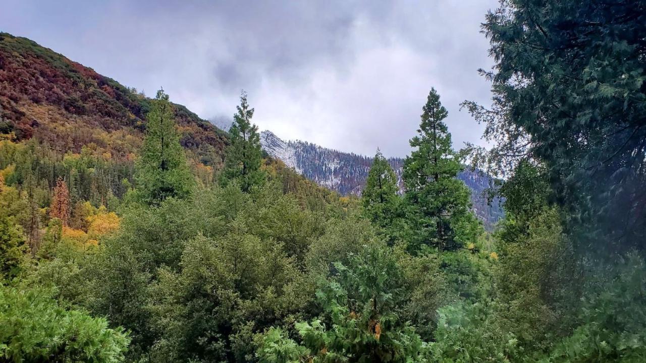 Redwood Retreat, Mountains, Adventure And Nature Ponderosa Bagian luar foto