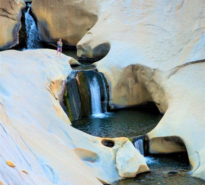 Redwood Retreat, Mountains, Adventure And Nature Ponderosa Bagian luar foto