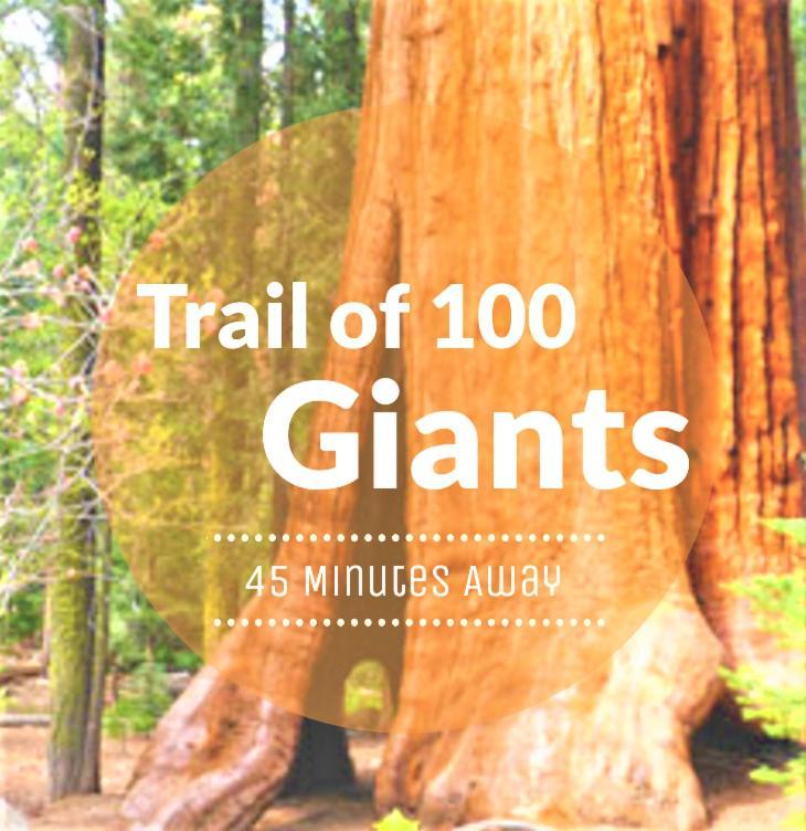 Redwood Retreat, Mountains, Adventure And Nature Ponderosa Bagian luar foto