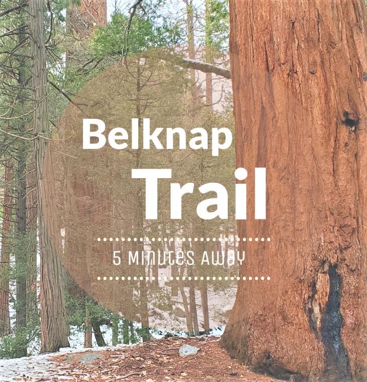 Redwood Retreat, Mountains, Adventure And Nature Ponderosa Bagian luar foto
